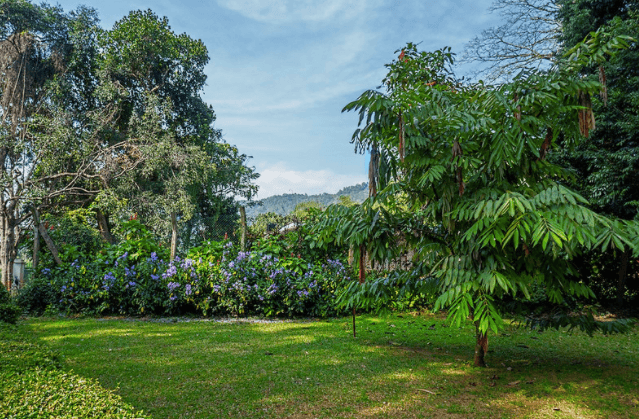 Der Königliche Botanische Garten von Peradeniya